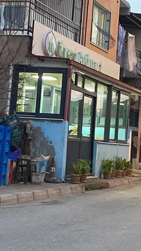 Ciğerci Aydın Usta