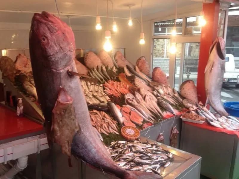Mer Balık Kireçburnu