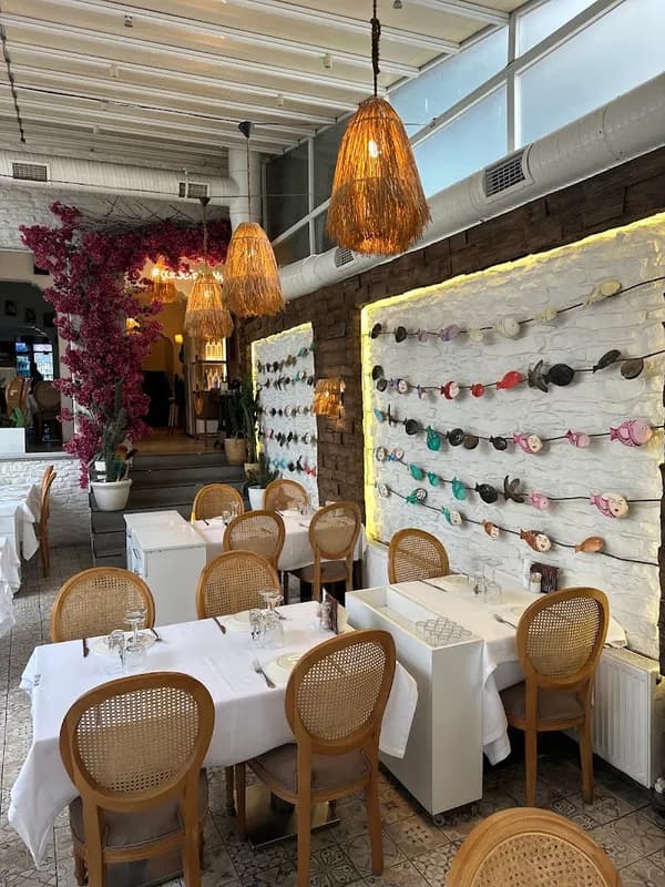 EFE BALIK YEŞİLKÖY