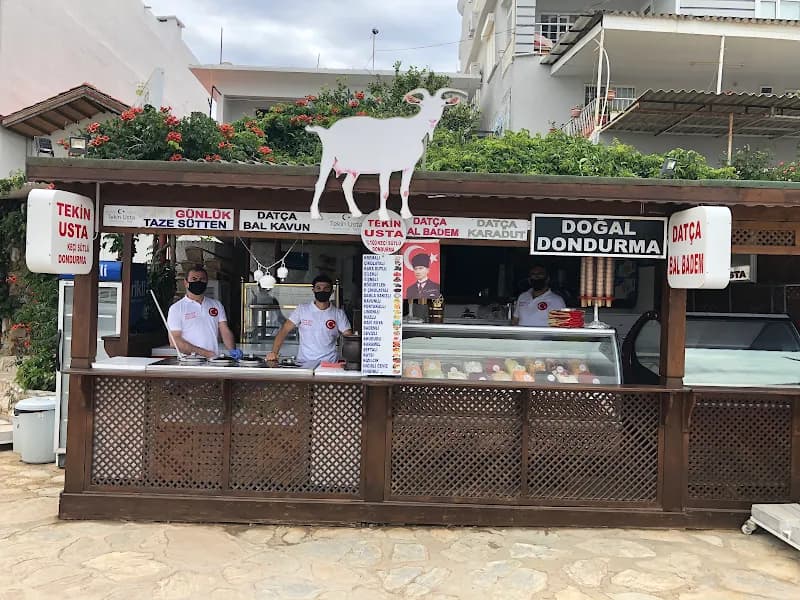 Tekin Usta %100 Keçi Sütü Dondurma